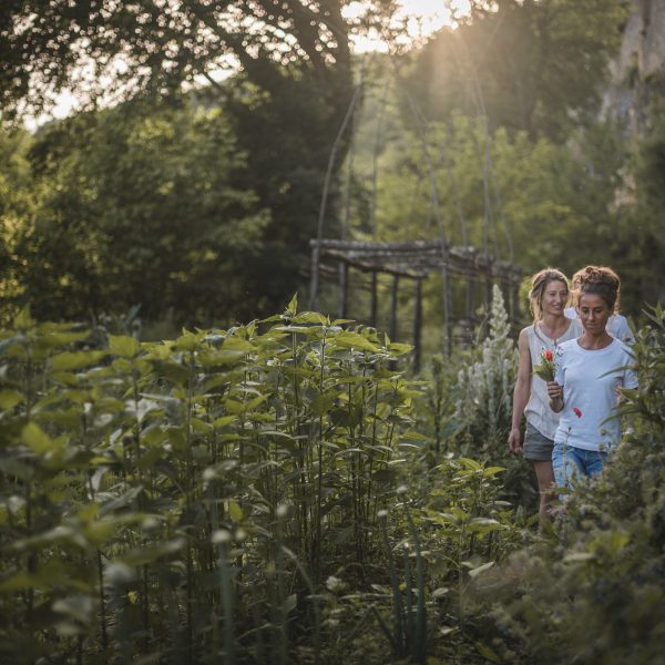 Balade plantes sauvage jardin médicinal nature la madeleine dordogne perigord