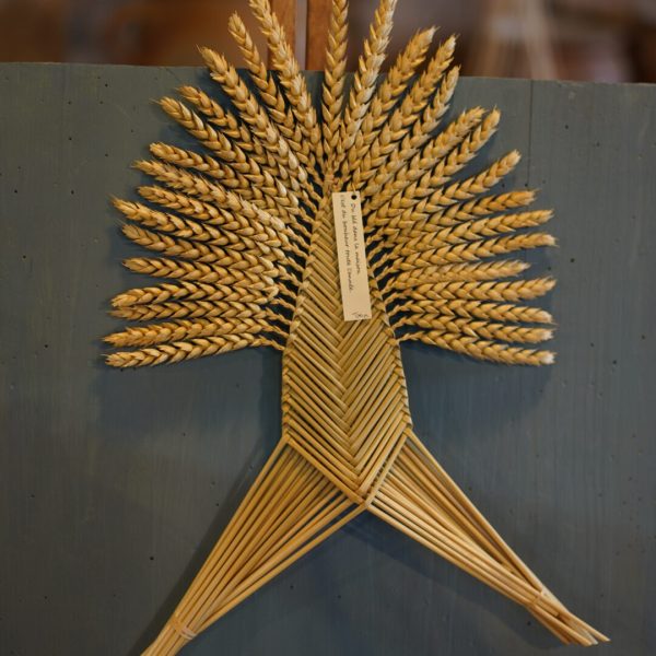 détail du blé